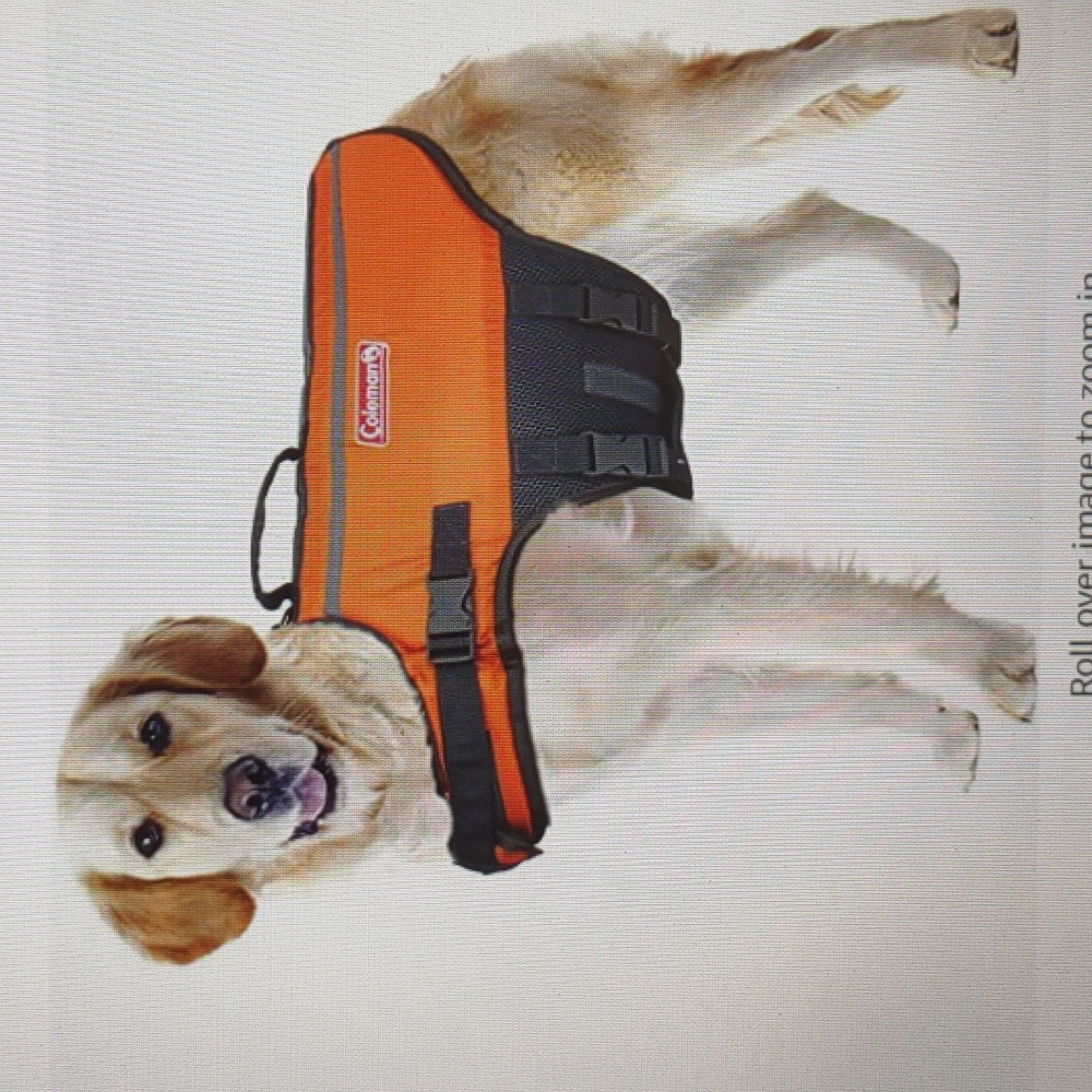 Coleman dog life jacket vest